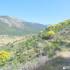 Cerro de la Cabeza y Puerto de la Cruz Verde; pueblos de españa singles alcobendas camino de santiag